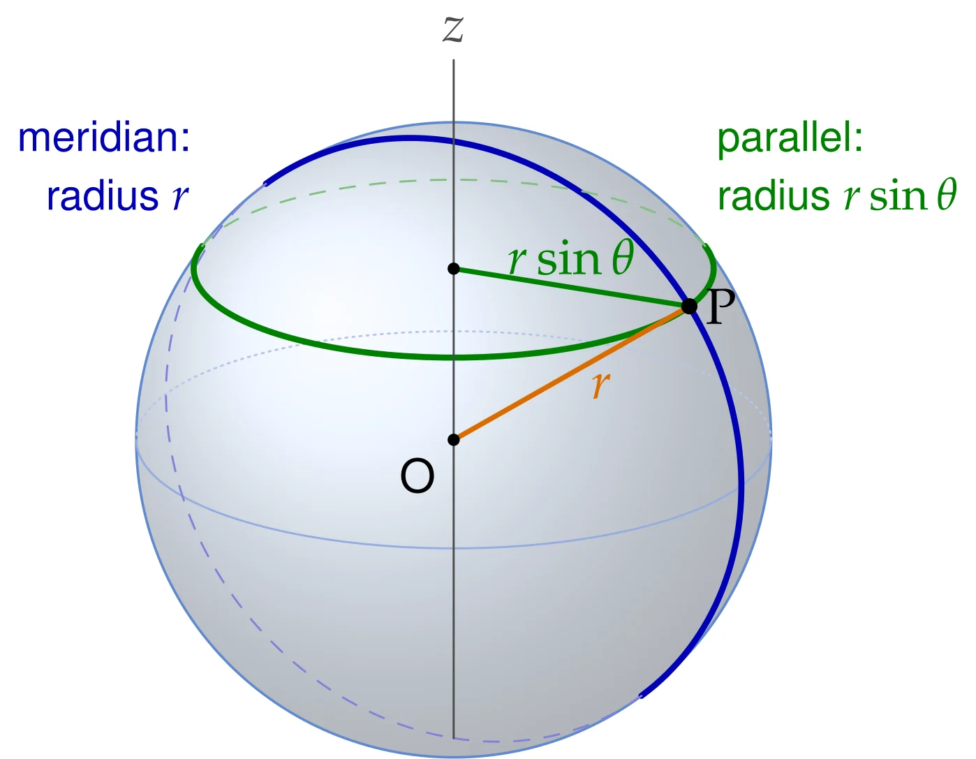 What the scale factors mean. (a) Increasing \theta moves P along its meridian, a circle of radius r centred at O, whereas increasing \phi moves P along its parallel, a smaller circle of radius r\sin\theta centred on the z axis. A change of one radian therefore moves P by r metres in the first case and by r\sin\theta metres in the second.