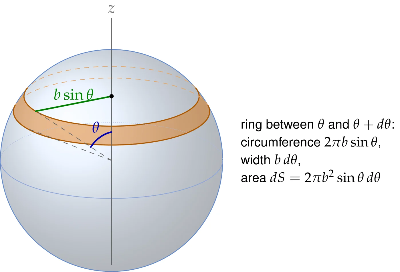 Slicing a sphere of radius b into rings. The ring between the cones \theta and \theta+d\theta is a narrow band of width b\,d\theta wrapped around a circle of radius b\sin\theta, so its area is 2\pi b\sin\theta\cdot b\,d\theta. This is what the \phi integration of dS=b^2\sin\theta\,d\theta\,d\phi produces. Rings near the poles are short, rings near the equator are long.