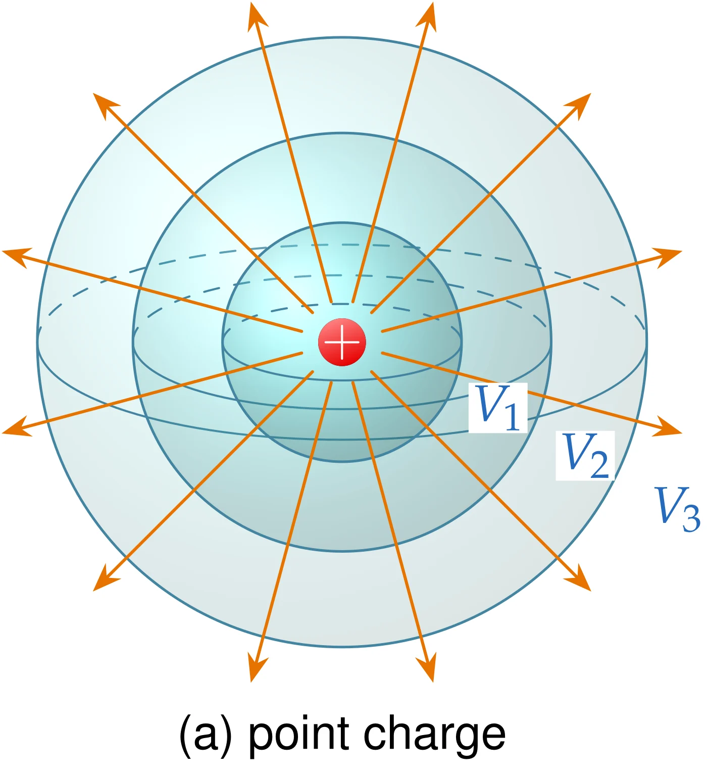 (a) The equipotential surfaces of a point charge are concentric spheres, V_1>V_2>V_3 for q>0, and the field is radial.