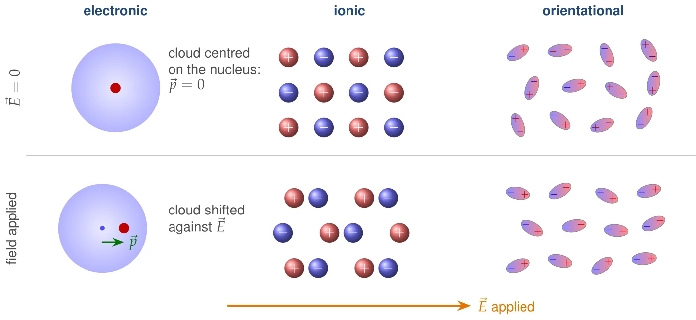 The three microscopic mechanisms of polarisation, without a field (top) and with a field pointing to the right (bottom). Electronic: the electron cloud is pulled against \vec E, the nucleus along it, and a small dipole \vec p appears. Ionic: positive ions shift along \vec E, negative ions against it (grey marks: the original positions). Orientational: permanent molecular dipoles, randomly oriented at \vec E=0, turn partly into the direction of the field. In all three cases the dipole moment points along \vec E.